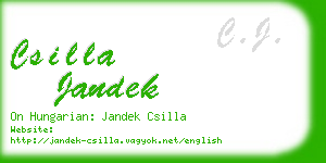 csilla jandek business card